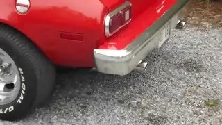 289 Pinto