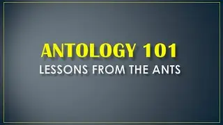 ANTOLOGY 101: LESSONS FROM THE ANTS - Pastor Rex Del Rosario