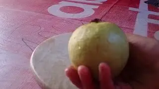 দারুন স্বাদের পেয়ারা মাখা রেসিপি// এইভাবে পেয়ারা মাখাবে দারুন খেতে হবে#cooking #food#viralvideo  