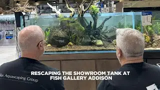 Restoring a 125 Gallon Aquarium | Fish Gallery Showroom Tank Transformation