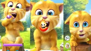 🍩 Ginger Donut Funny Bite Fail 🍫Drop munch silly fun 😂