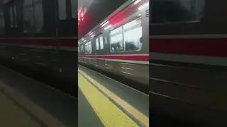 Cilebut station #ytshorts #shorts #krlcommuterline #fyp #viral #trendingnow