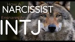 How a NARCISSIST traps an INTJ?