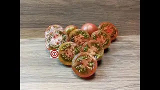Basin Mountain Tommy Toe Tomato