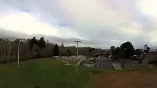 Rattitude mode test cc3d