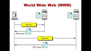 World Wide Web (WWW) in Data Communication and Networking