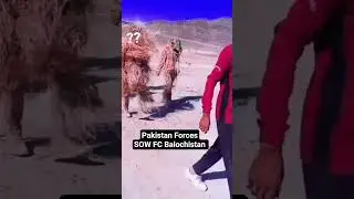 Pakistani  Forces ||  FC Balochistan || Frontier Corps