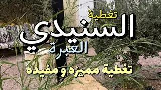 محل السنيدي العبرة #السعودية #القصيم #بريده  #السنيدي 