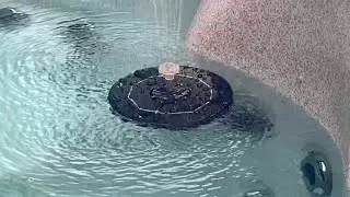AISITIN Solar Fountain Pump , Solar Water Fountain Pump with 6 Nozzles