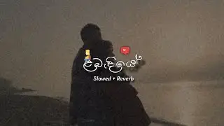 ළබැඳියේ... | Labandiye (slowed + reverb)💗