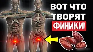 Что случится  если есть 3 финика в день? запустят необратимые процессы в вашем организме.