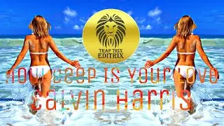How Deep Is Your Love - Calvin Harris DJ DeNNis || EDITRIX || Trap Mix