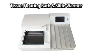 2024 New Design Laboratory Pathological Research Slides Tissue Floating Bath And Slide Warmer