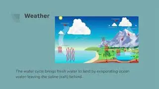 Human Dependence on Ocean Systems