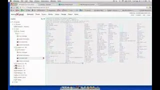 Using Command Shell in a browser