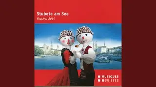 Schneegestober