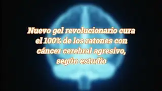Un nuevo gel consigue curar al 100% un c&aacute;ncer de cerebro agresivo