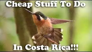 Things to do in Monteverde, Costa Rica (San Jose and Cloud Forest)