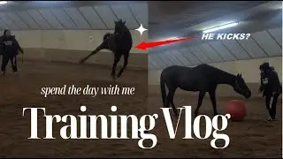 HE GETS SO EXCITED WHEN HE SEES A JUMP | GROUNDWORK WITH JET | HE LEARNS TO KICK A BALL?