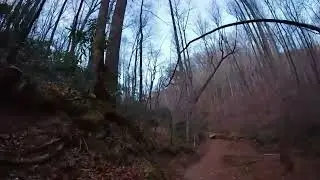 Hiking The Moore Cove Falls Trail
