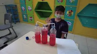 I-STEAM 2021 (ISLAMIC - SCIENCE - TECHNOLOGY - ENGINEERING - ART - MATH)
