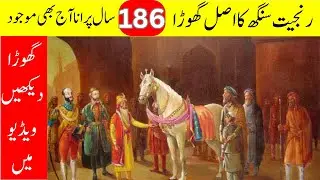 Rnjit Singh Hourse | 180 sal puran asli ghoraa | رنجیت سنگھ کا اصلی گھوڑا