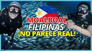 MOALBOAL: El SECRETO de Filipinas en CEBU🌊 Qué Hacer + Kawasan Falls