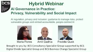 AI Governance in Practice: Privacy, Vulnerability and Social Impact