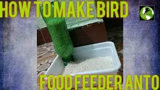 How To Make Bird Food feeder In தமிழ்