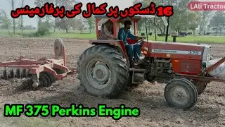 MF 375 Old model Perkins Engine performance on 16 Disk Harrow fully open | Great performance