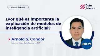 ✅ ¿Por qué es importante la explicación de modelos de inteligencia artificial?