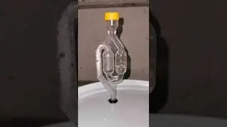 Voss Kveik yeast in action
