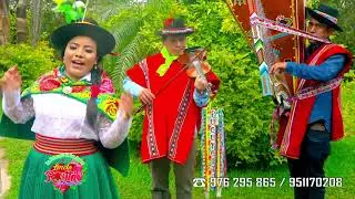 ♪♫🎻🌷LINDA ROSITA DE VILCASHUAMA🌷🎻♪♫⏩TEMA: PARIS HUACHSHUASCHAY⏪VIDEO TORIL 2022(STUDIOS VOZ Y CANTO)