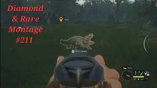 Diamond and Rare Montage #211 | TheHunter Call of the Wild Montage