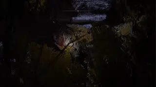 Elden Ring Mohgwyn Palace Skip 2024