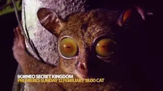 Королевство Борнео (Тайное королевство) | Воскресенье, 18:00 (CAT)