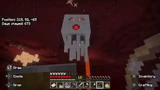 SURROUNDED! 💀 Epic Battle Against Wither Skeletons and Blazes!