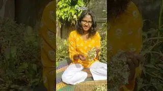 sahjan phool ki sabji #Cooking #recipe #trending #feed #shorts
