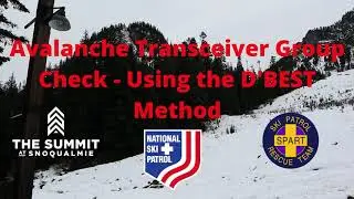 Avalanche Transceiver Group Check   Using the D'BEST Method