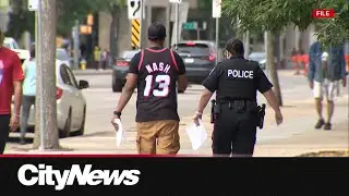 Edmonton crime rates and severity drop but disorder worries public