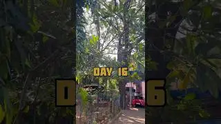 Earn 1 Lakh In 100 Days Challenge From Zomato Day- 16 #zomato #minivlog #thane
