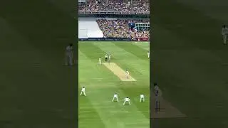 Travis Head vs Bumrah #cricket #indiavsaustralia #bordergavaskartrophy #head #bumrah #bgt