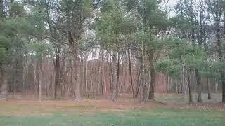 Happy Thanksgiving from ProfessorCC19