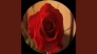 Ancestral Rhythm (Original Mix)