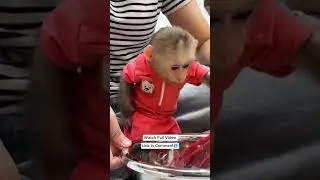 Kakamonkey cooking