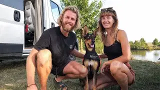 24 hodin ze života s adoptovan&yacute;m &scaron;těnětem | Vanlife Česko