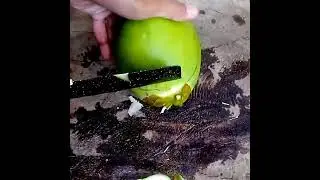 small coconut cutting #kelapa #kelapamuda #vidioviral
