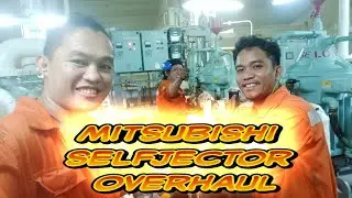 Mitsubishi self jector purifier overhaul