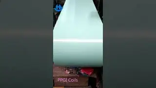 PPGI Coils