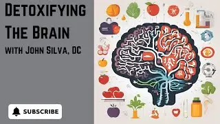 John Silva, DC, Detoxifying The Brain
